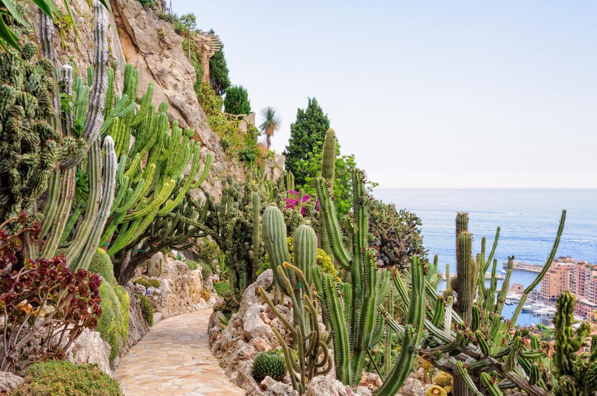 Sejour En Pleine Nature, Vue Imprenable, Jacuzzi Contes (Alpes-Maritimes) Exterior foto